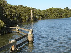 Melrose Park Parramatta River